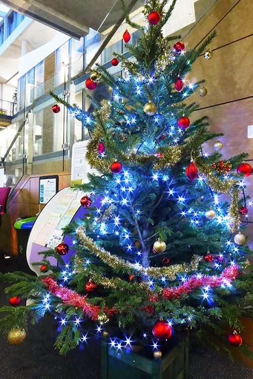 The Library Christmas Tree