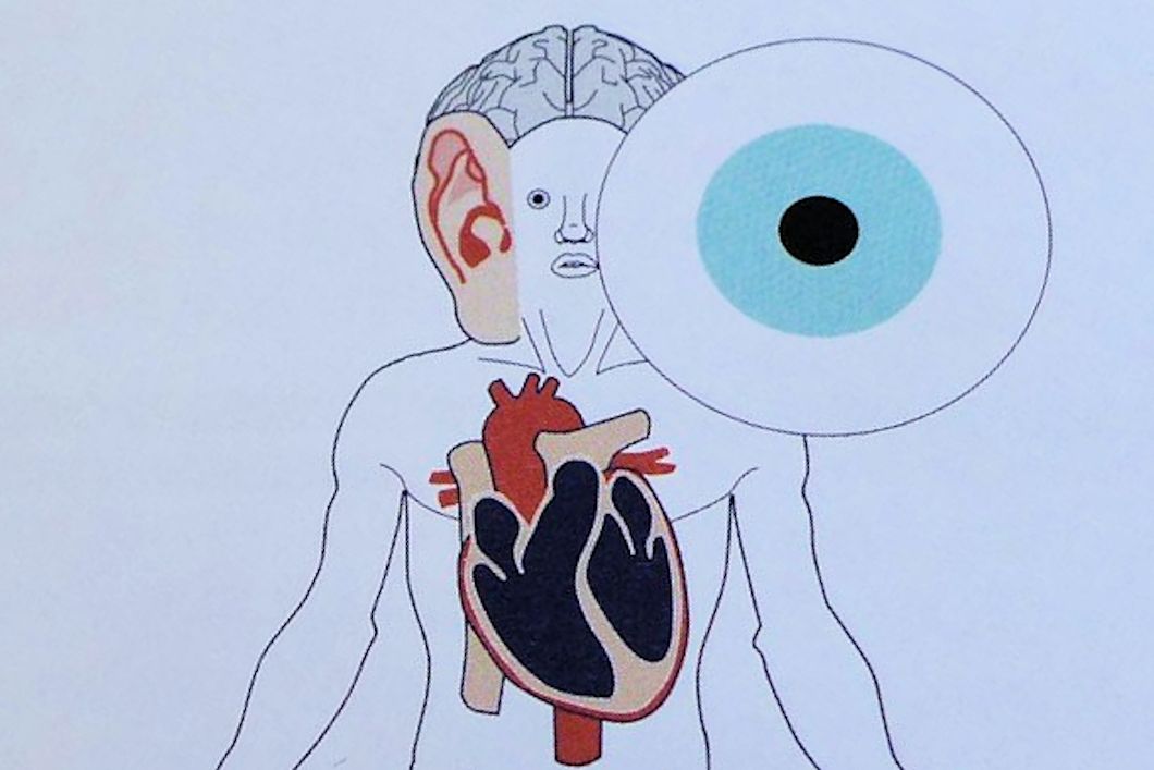 Information is beautiful (McCandless 2009, p. 151) - close up