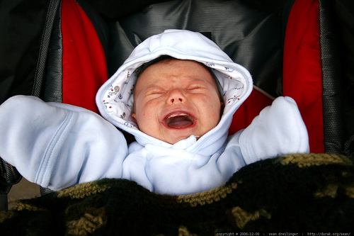 screaming infant photo