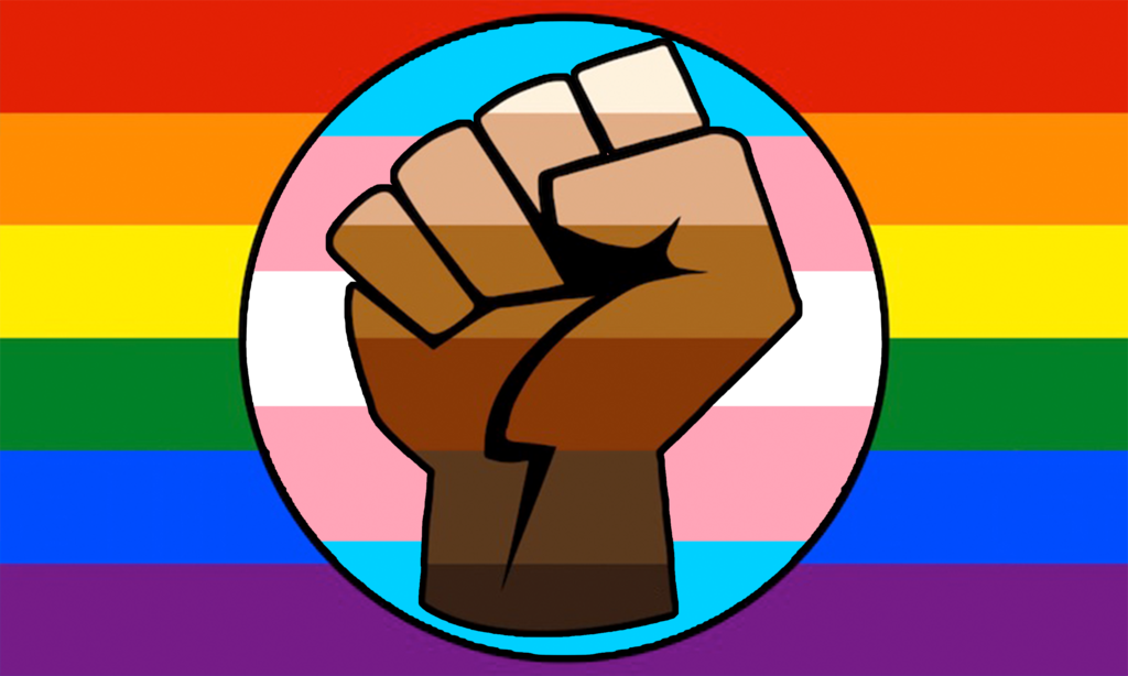 Flag design comprising an upheld fist coloured in horizontal stripes of different flesh tones from 'black' to 'white' superimposed on a circular field of horizontal blue, pink and white stripes representing trans inclusion, all set against a background of the classical rainbow flag for LGBTQ+ inclusion.